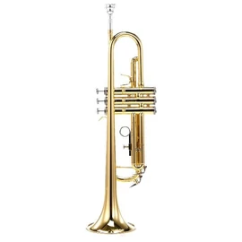 CTR-2000H-YSS-L Bb trombita