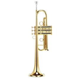 CTR-4000H-YSS-C-L C  trombita