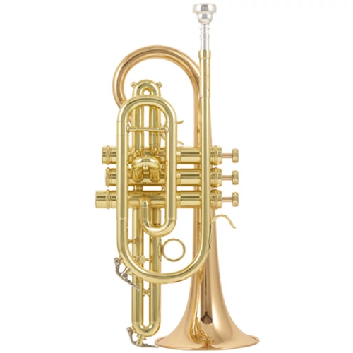 CCR-3880-GSS-L  Bb kornett
