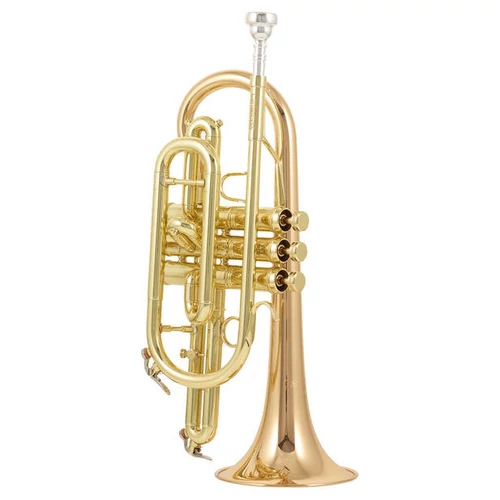 CCR-3880-GSS-L  Bb kornett