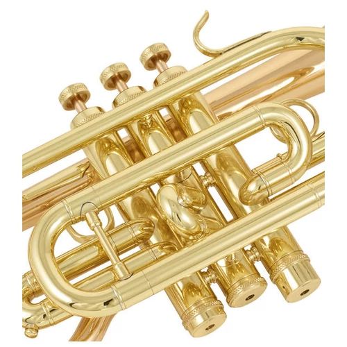 CCR-3880-GSS-L  Bb kornett