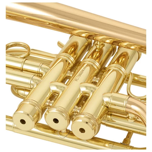 CCR-3880-GSS-L  Bb kornett