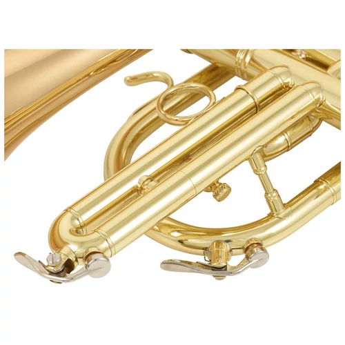 CCR-3880-GSS-L  Bb kornett