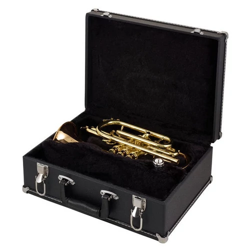 CCR-3880-GSS-L  Bb kornett