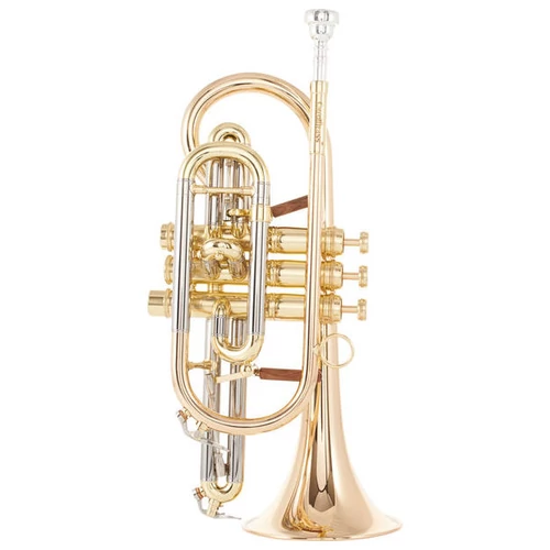 CCR-6882T-GSS-L Bb kornett