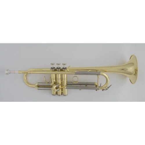 CTR-3250H-YSS - L Bb trombita