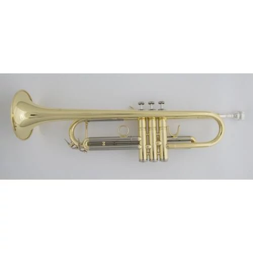 CTR-3250H-YSS - L Bb trombita