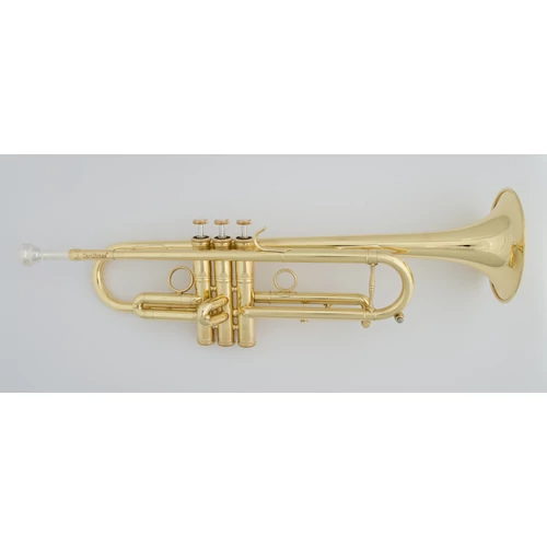 CTR-4000H-YSS-L  Bb  trombita
