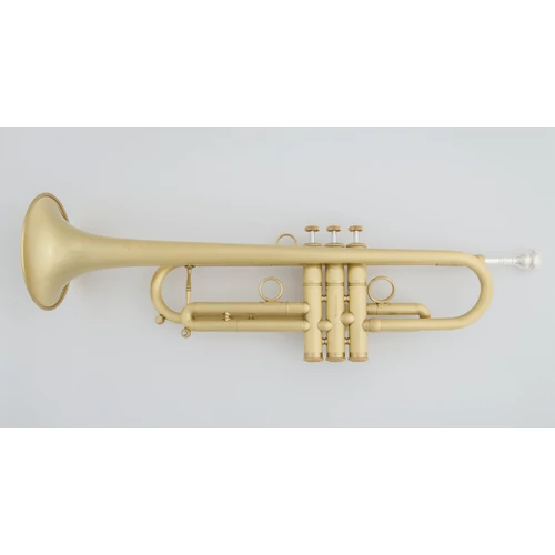 CTR-4000H-YSS-SL Bb trombita