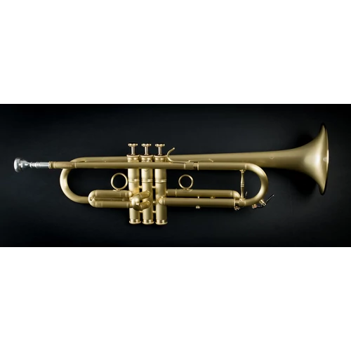 CTR-5000L-YST-SL Bb trombita