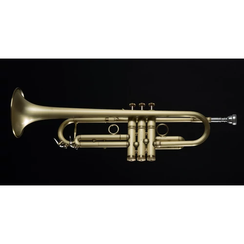 CTR-5000L-YST-SL Bb trombita