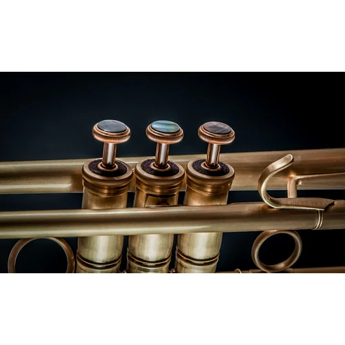 CTR-5000L-YST-SL Bb trombita