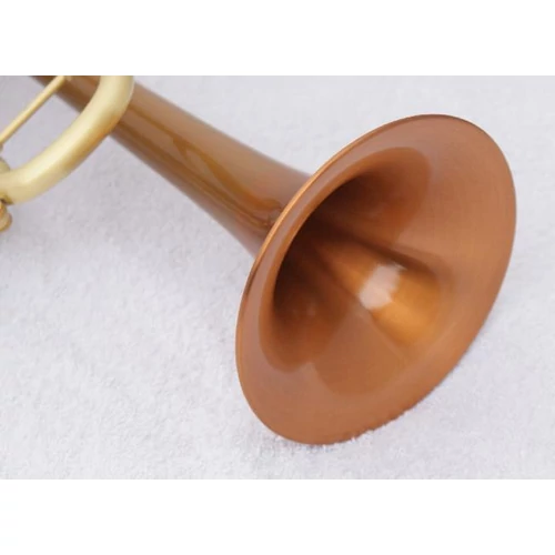 CTR-6280L-PSM-SL Bb  trombita