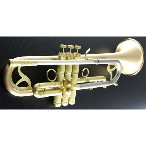 CTR-7660L-GSS-SL Bb trombita