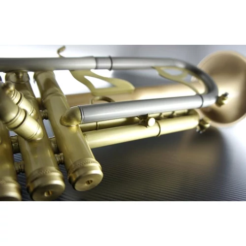 CTR-7660L-GSS-SL Bb trombita