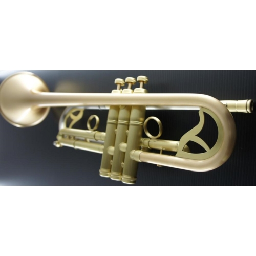 CTR-7660L-GSS-SL Bb trombita