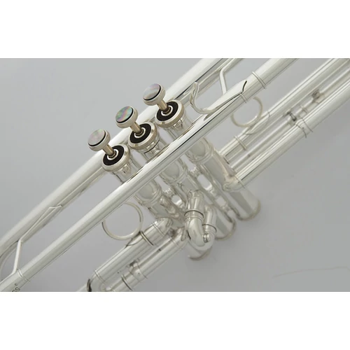 CTR-7772L-GLS-S Bb  trombita