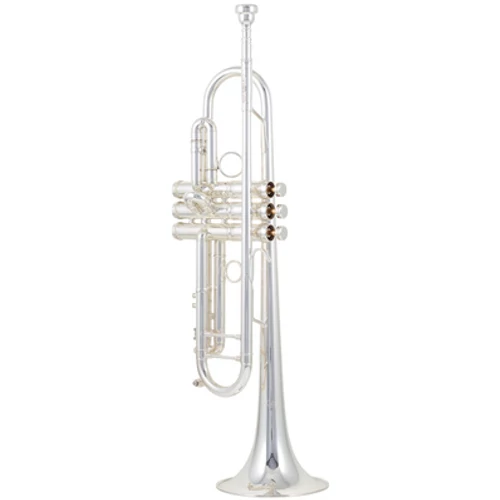 CTR-8882H-GSS-S Bb trombita