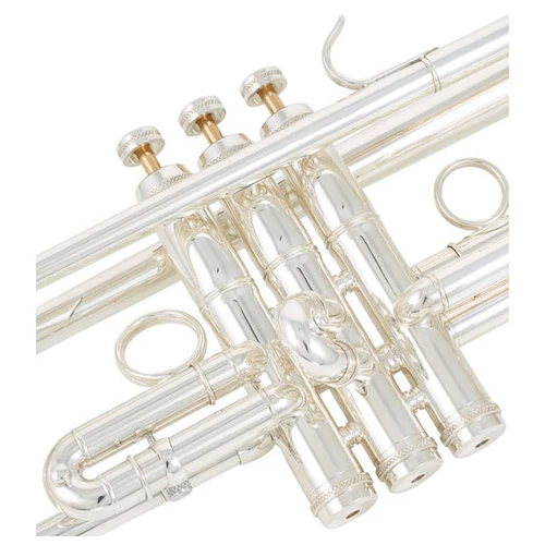 CTR-8882H-GSS-S Bb trombita