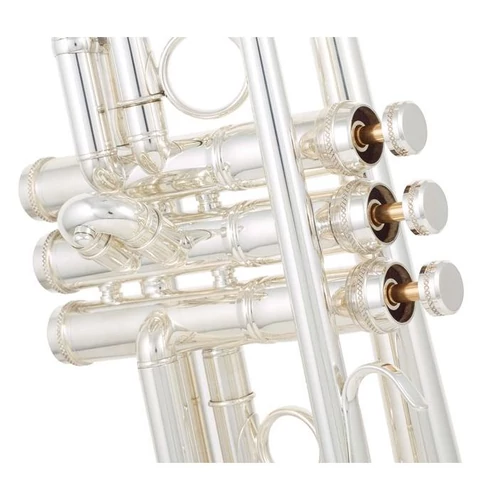 CTR-8882H-GSS-S Bb trombita