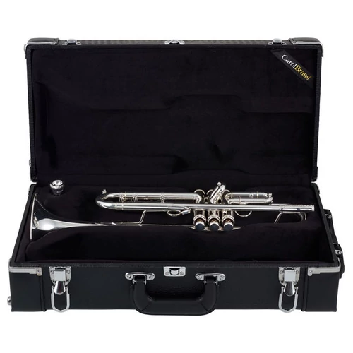 CTR-8882H-GSS-S Bb trombita